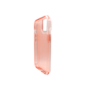 FDA IPH 14-PRO-MAX ARMOR-360 RJO