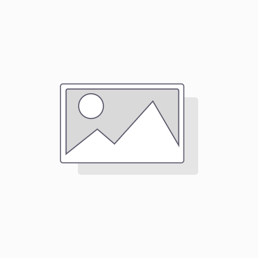 FDA IPH 16-PRO FRAME-MAGSAFE 